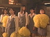 all-shomu11-12s