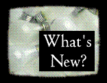 WHAT'S NEW?